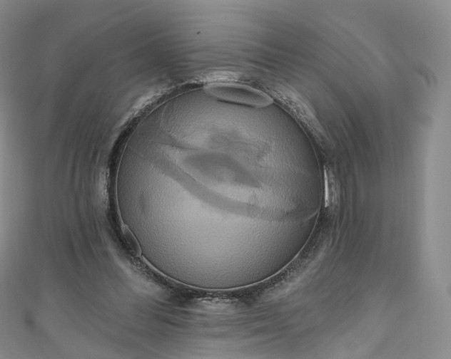 X0000111020300200906261546