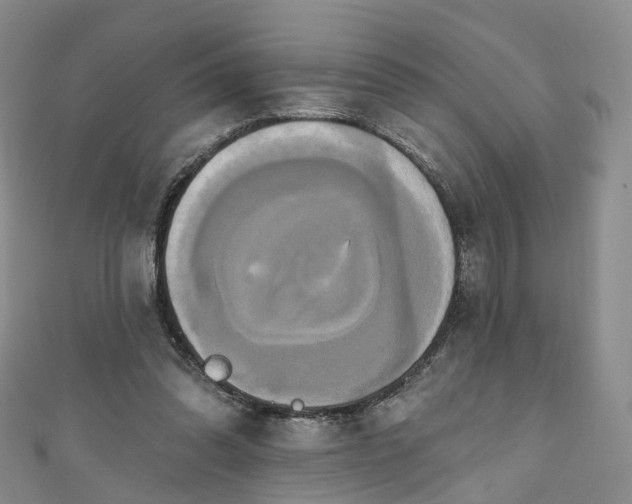 X0000111020302200906261546