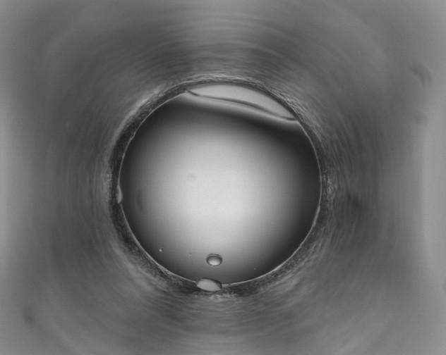 X0000111020304200906261546