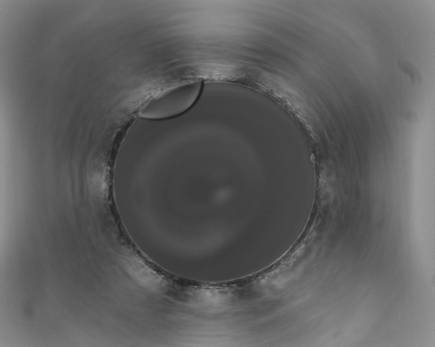 X0000111020305200906261546