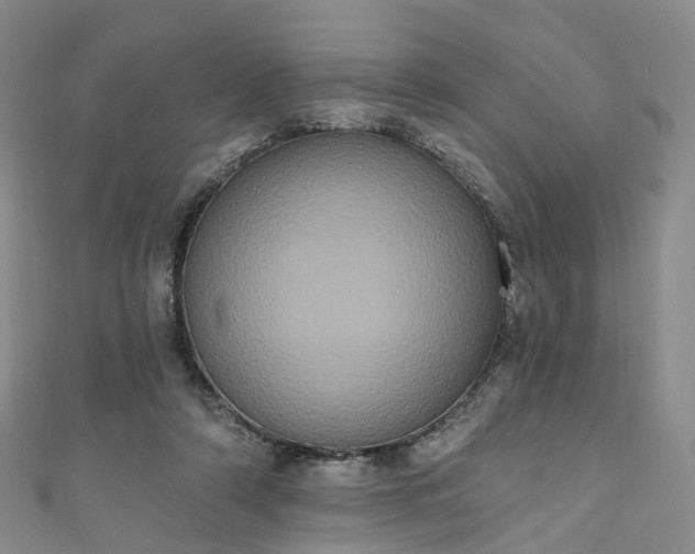 X0000111020306200906261546