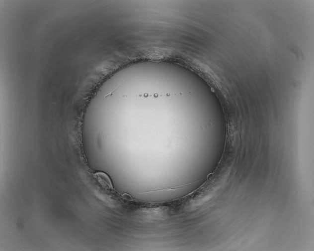X0000111020307200906261546