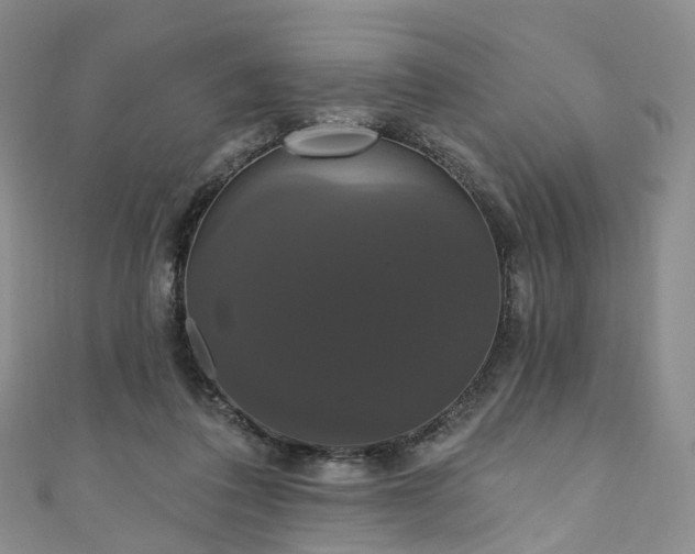 X0000111020308200906261546