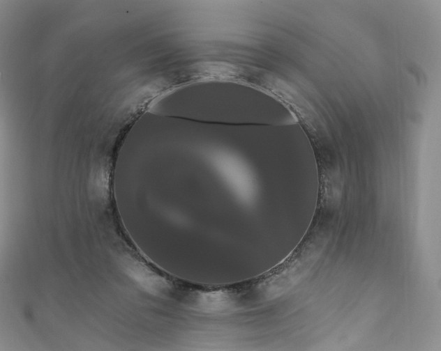 X0000111020309200906261546