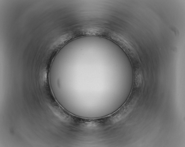X0000111020310200906261546