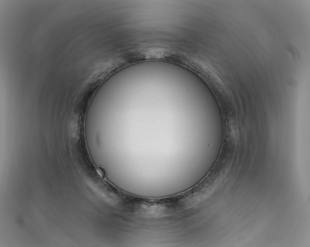 X0000111020311200906261546