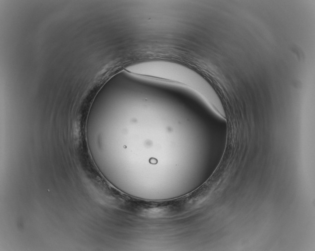X0000111020312200906261546