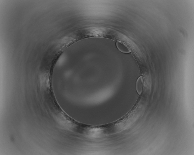 X0000111020313200906261546