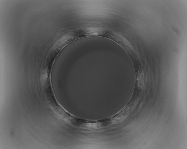 X0000111020314200906261546