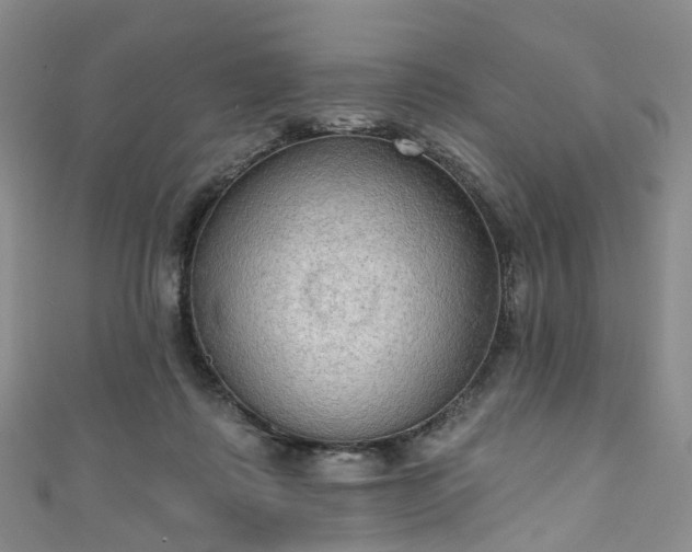 X0000111020315200906261546