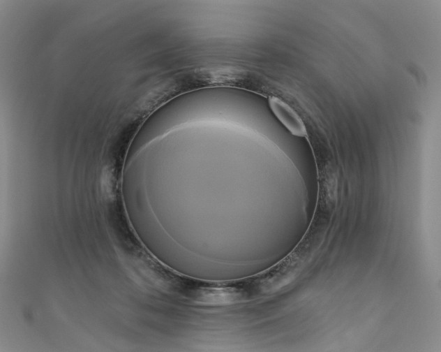 X0000111020316200906261546