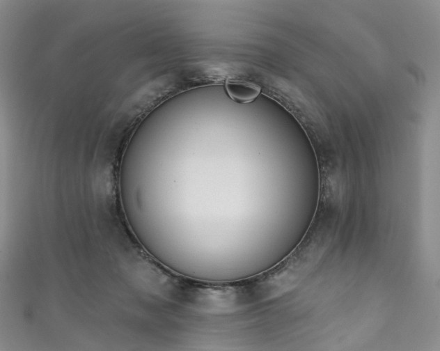 X0000111020317200906261546