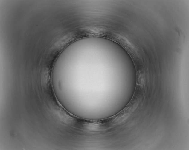 X0000111020318200906261546