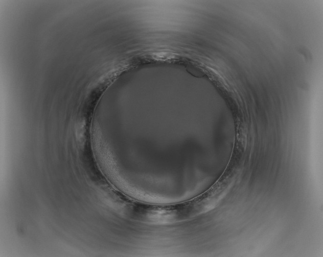 X0000111020319200906261546