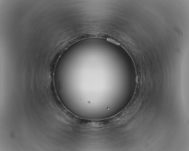 X0000111020320200906261546