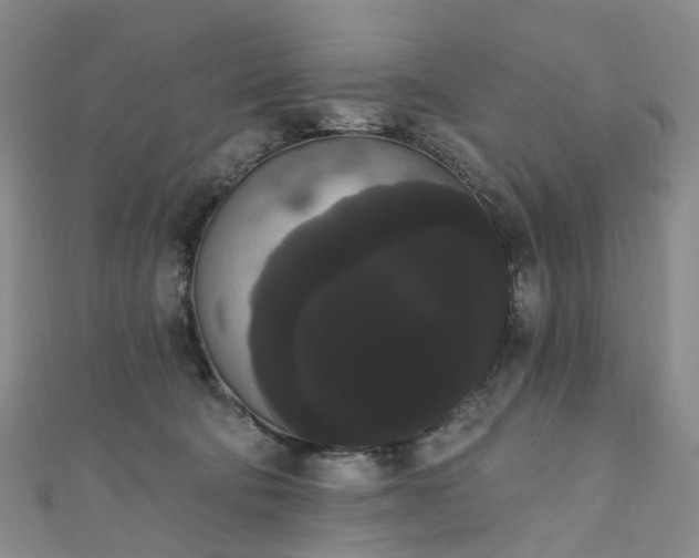 X0000111020322200906261546