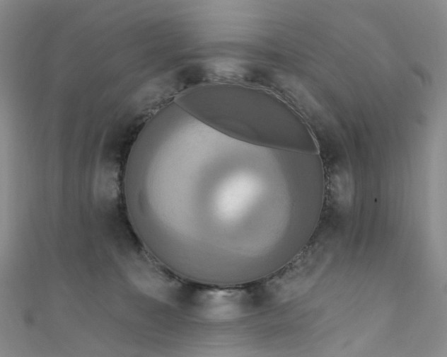 X0000111020323200906261546