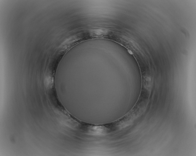 X0000111020324200906261546
