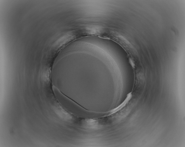 X0000111020325200906261546