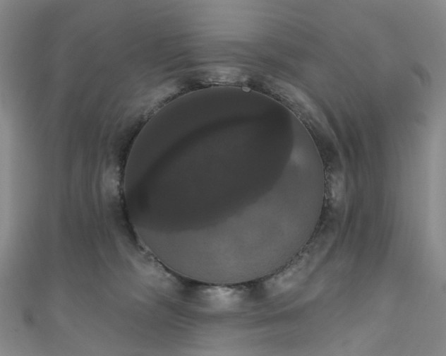 X0000111020326200906261546