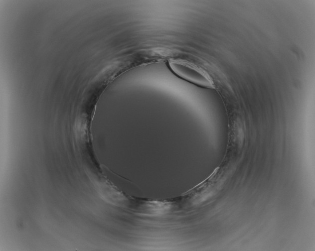 X0000111020328200906261546