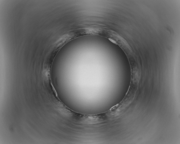X0000111020329200906261546