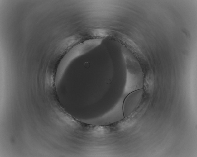 X0000111020330200906261546