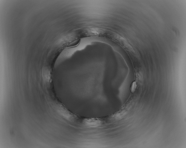 X0000111020331200906261546