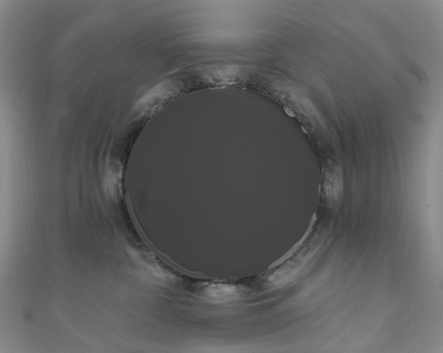 X0000111020332200906261546