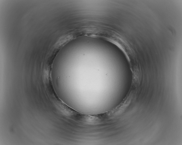 X0000111020333200906261546