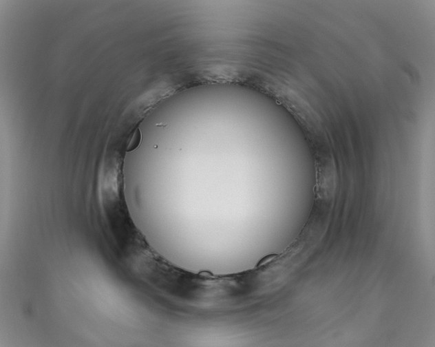 X0000111020334200906261546