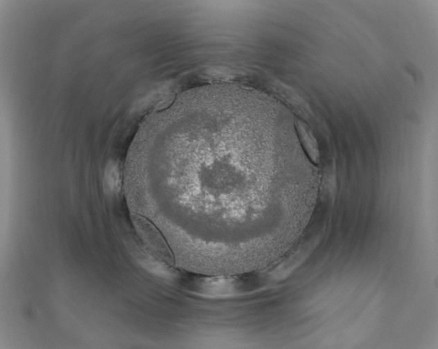 X0000111020335200906261546