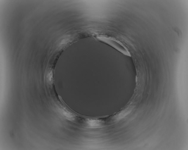 X0000111020336200906261546