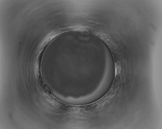 X0000111020339200906261545