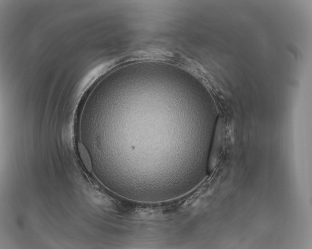 X0000111020340200906261545