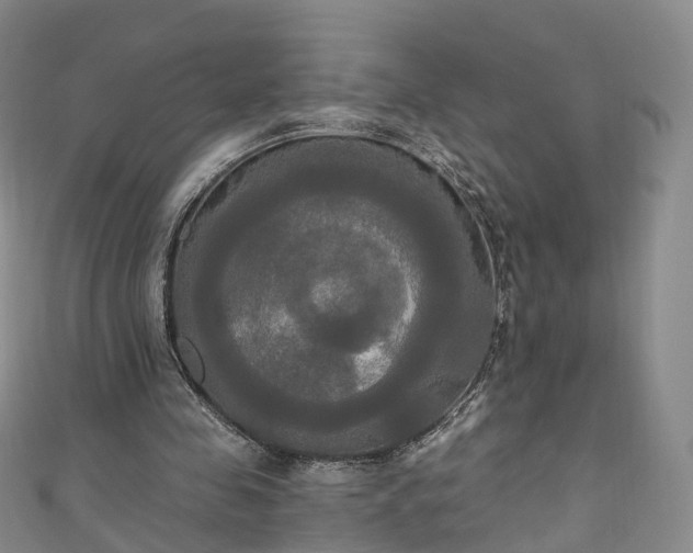 X0000111020341200906261545