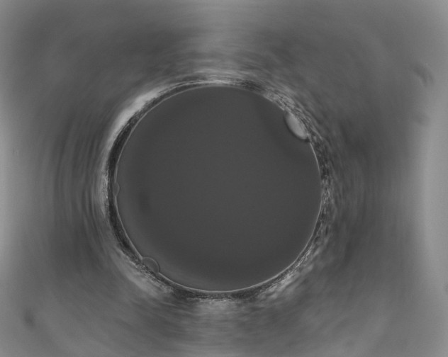 X0000111020342200906261545