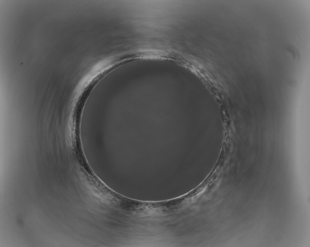 X0000111020343200906261545
