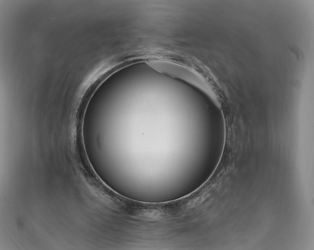 X0000111020344200906261545