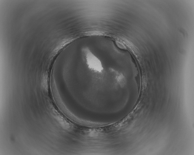 X0000111020345200906261545