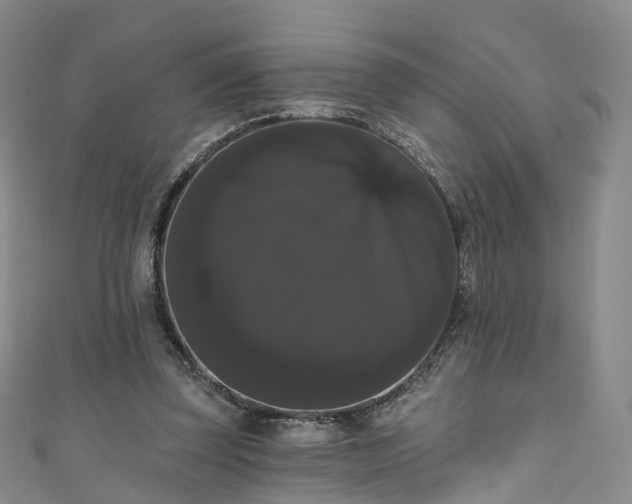 X0000111020347200906261545
