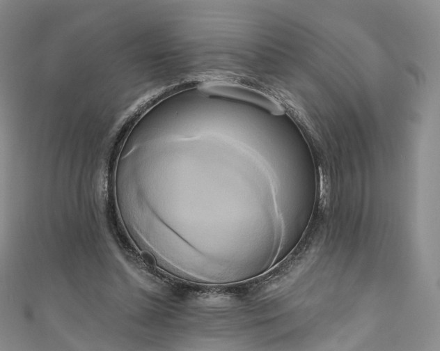 X0000111020348200906261545