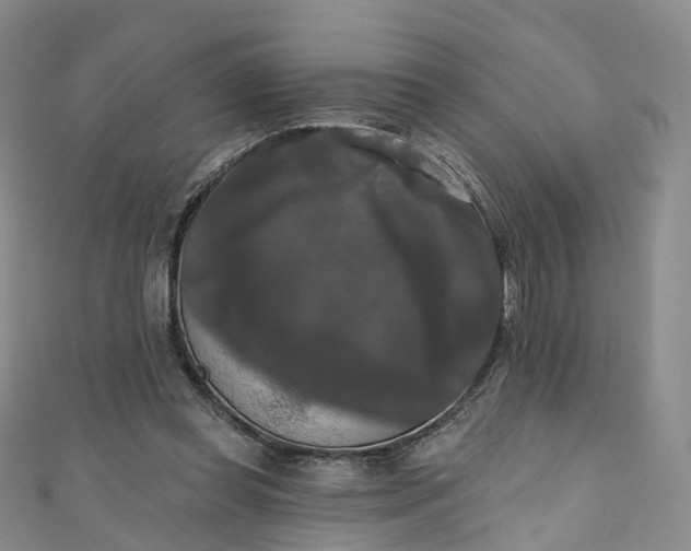 X0000111020349200906261545