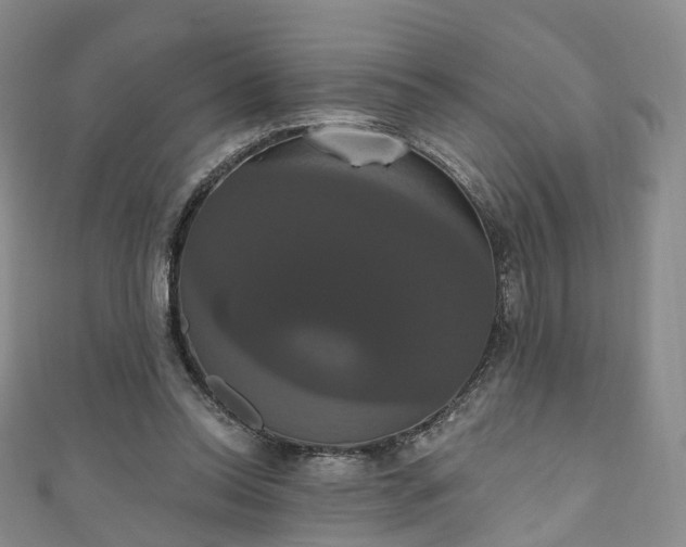 X0000111020350200906261545