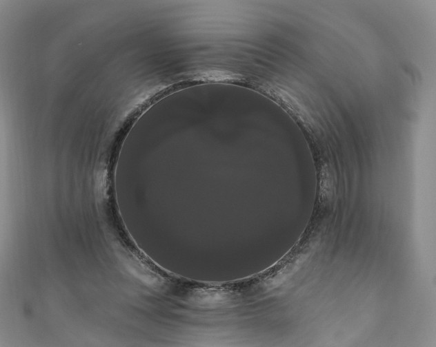 X0000111020351200906261545