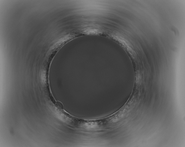 X0000111020353200906261545