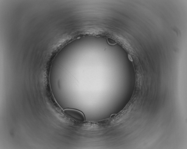X0000111020354200906261545