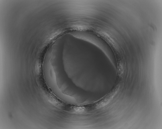 X0000111020355200906261545