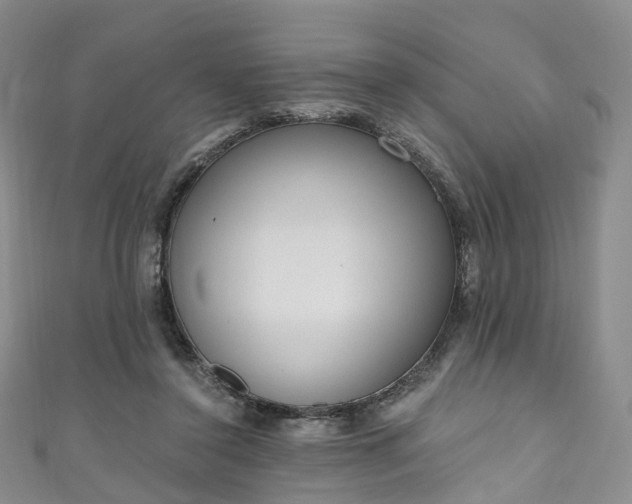 X0000111020356200906261545