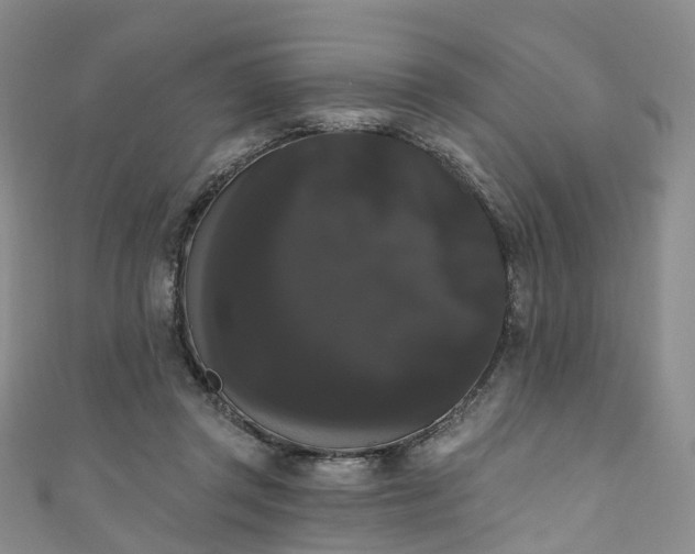 X0000111020357200906261545